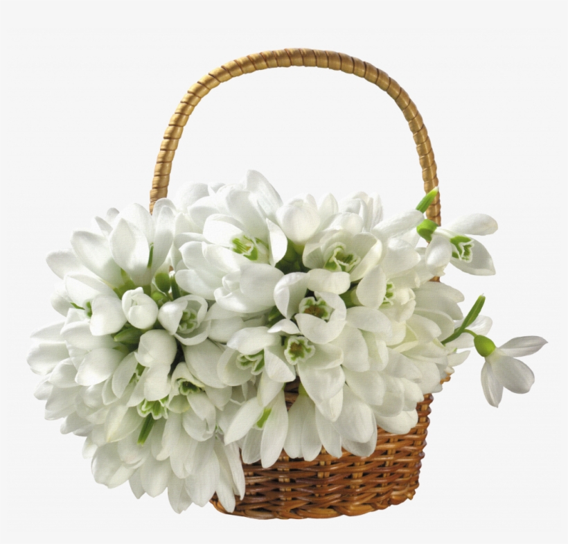 tree plants flower white flower basket png transparent png 1024x931 free download on nicepng white flower basket png transparent png