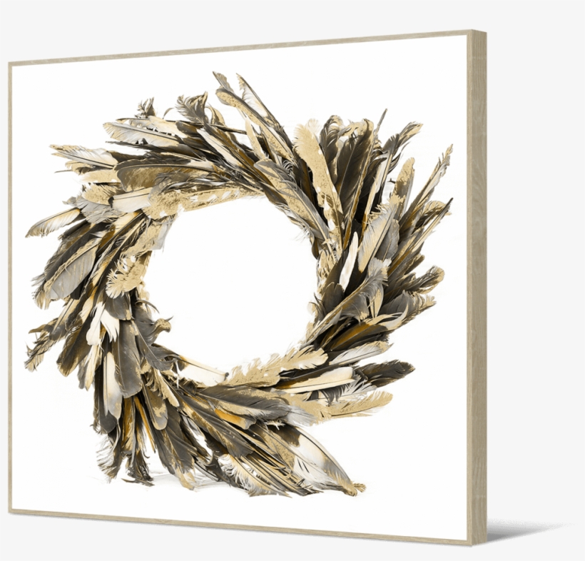 'chief Indian' Circle Of Feathers - Circle Feather Wall Art, transparent png download