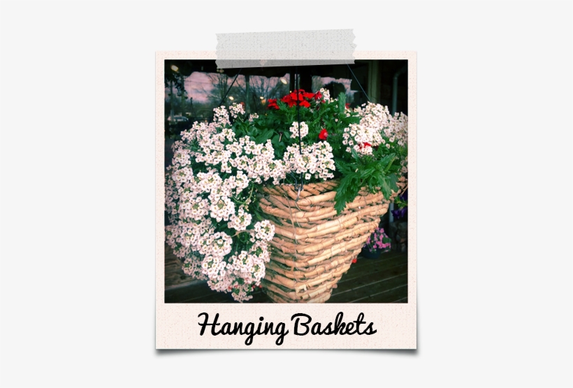 Flowers In Basket From Powers Farm Market - Remember To Turn On The Light Poster 13 X 19in, transparent png download
