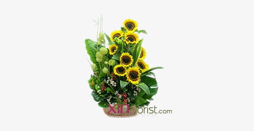 As Picture - Garden, transparent png download