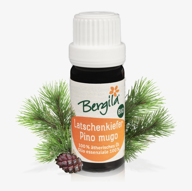 Mountain Pine Oil Organic - Olio Essenziale Di Pino Mugo, transparent png download