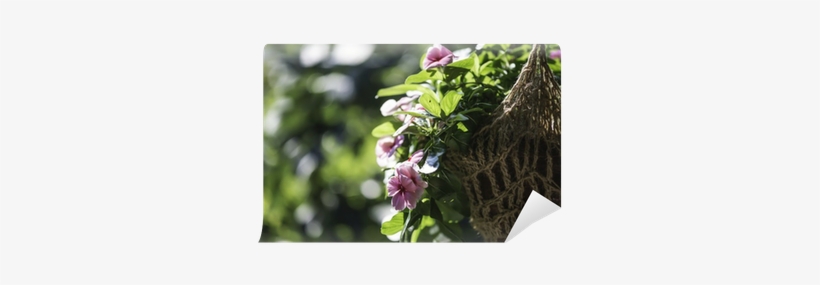 Mural, transparent png download