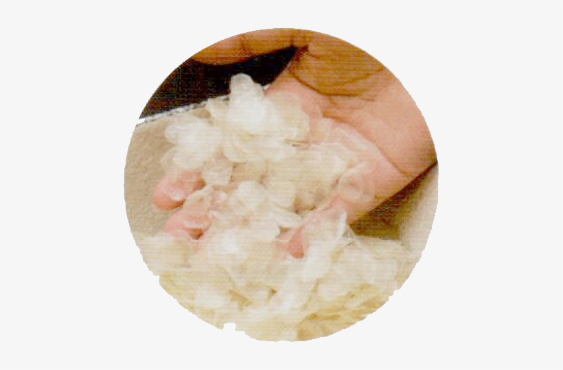 Besides The Collagen Extracted From Fish Scale, Wang - Collagen Extraction From Fish Scales, transparent png download
