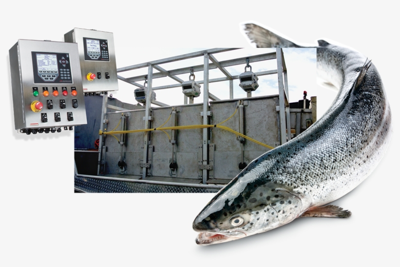 Commercial Fishing 920i Flexweigh - Commercial Fishing, transparent png download
