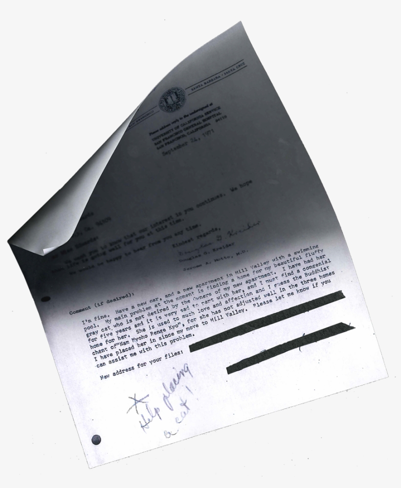 Person, transparent png download