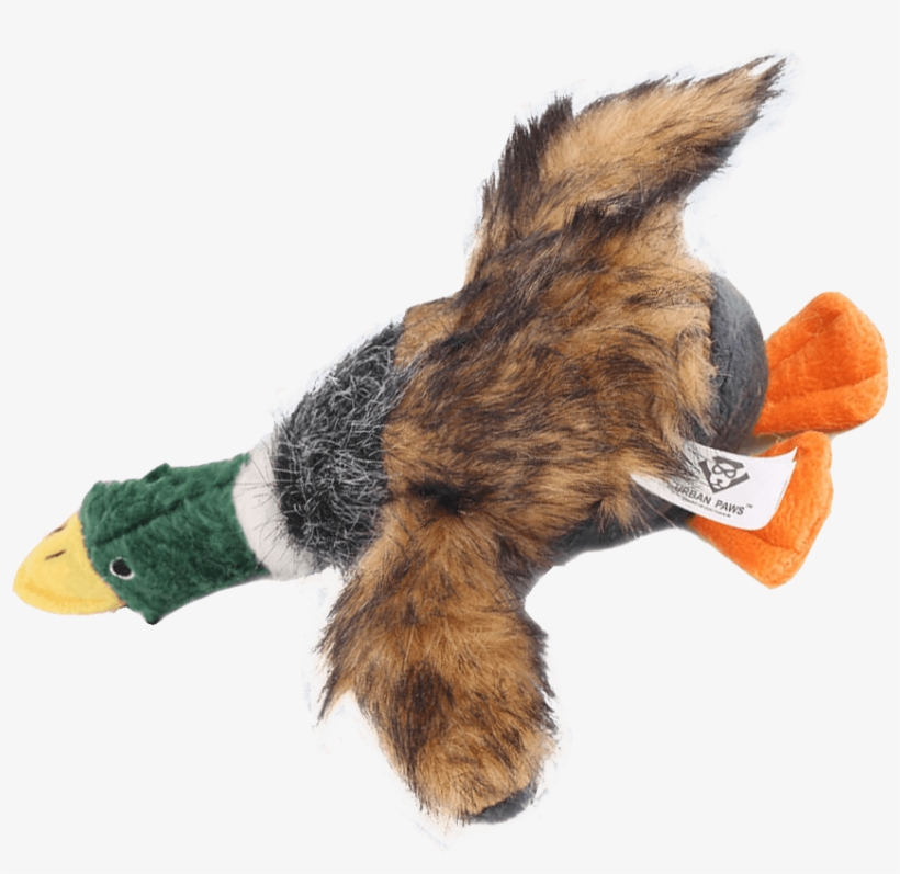 Stuffed Duck Dog Toy - Dog Toy, transparent png download