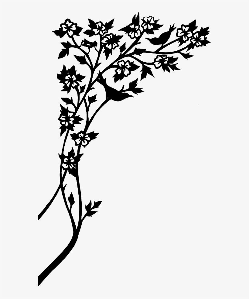 Book One - Evolution Of Calpurnia Tate Background, transparent png download