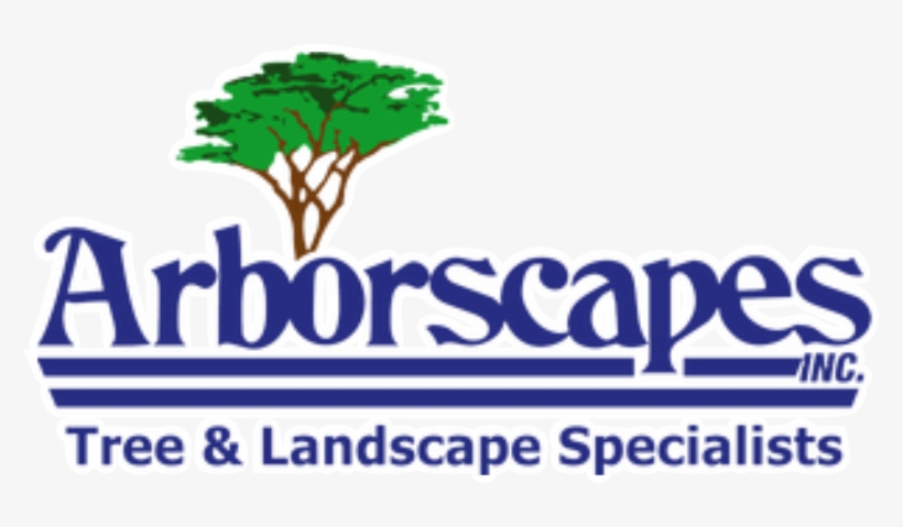 Arborscapes - Arborscapes Inc., transparent png download