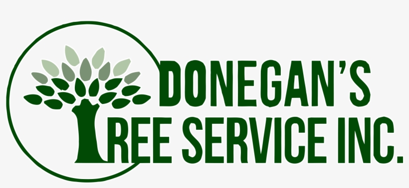 Donegan's Tree Service - Illustration, transparent png download