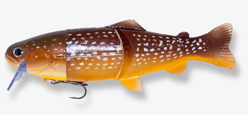 Northern Pike - Castaic, transparent png download