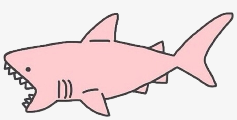 Stickers Edit Edits Png Head Face Pic Photo Transparent - Shark Png, transparent png download
