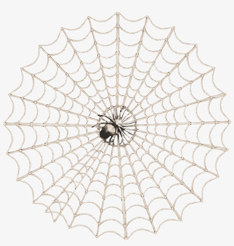 Freebie Spider Web Element - Spider Web Design, transparent png download