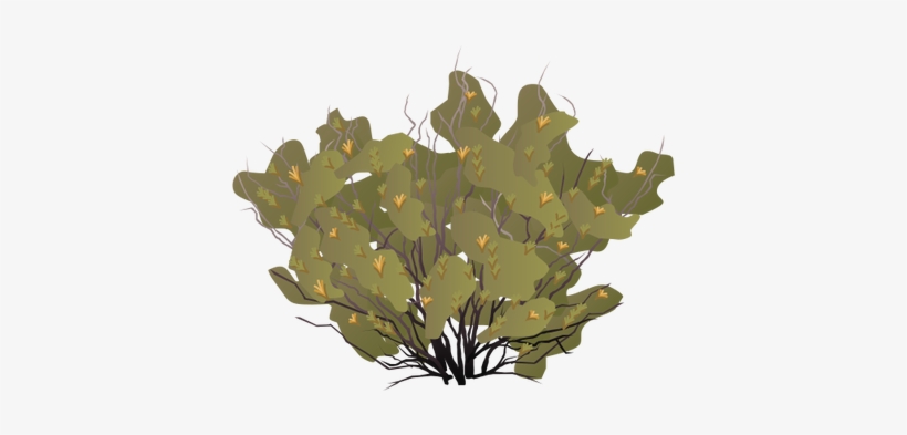 Ian Symbol Chuquiraga Avellanedae - Illustration, transparent png download