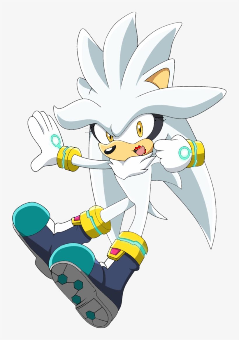 Photo - Photograph, transparent png download