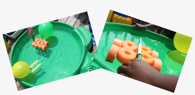 I Filled Up A Big Shallow Tub Of Water And Let The - Play, transparent png download