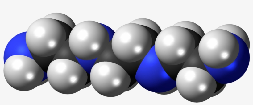 Global Triethylenetetramine Market - Triethylenetetramine Teta, transparent png download
