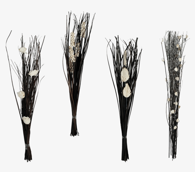 Twig, transparent png download