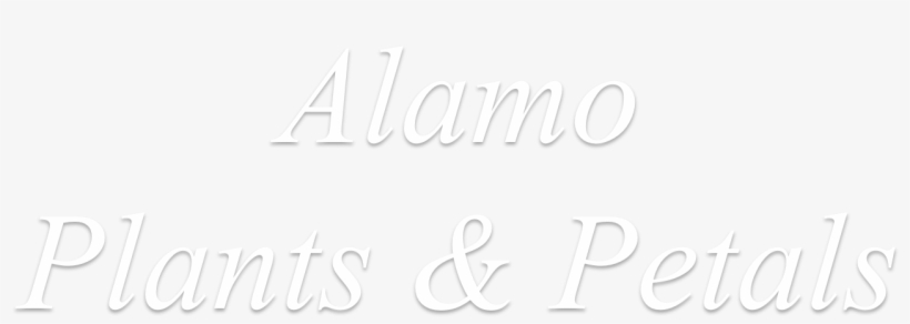 Red And White Delight By Teleflora In San Antonio Tx - Calligraphy, transparent png download
