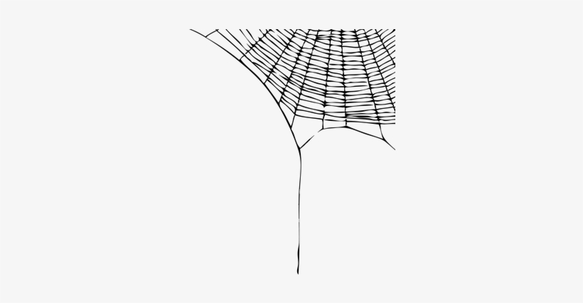 Tela De Araña Png, transparent png download