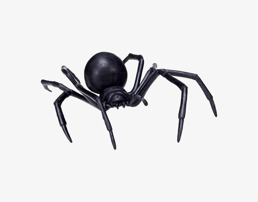 Black Spider Png Transparent Image - Safari Ltd. Safari Ltd Hidden Kingdom – Black Widow, transparent png download