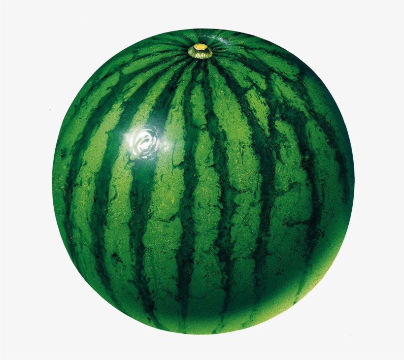 Water Melon - Green Color Fruits And Vegetables, transparent png download