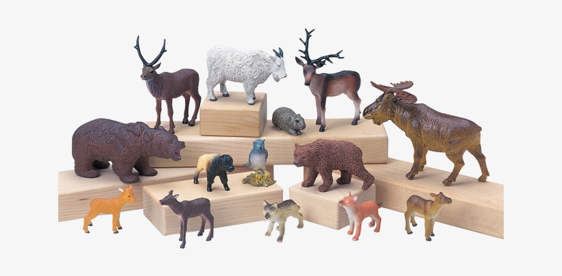 Forest Animals Set Of - 14 Piece Forest Animal Play Set For Kids, transparent png download
