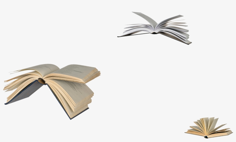 Link To Christmas Corner At Hogwarts On Pottermore - Flying Books Transparent, transparent png download