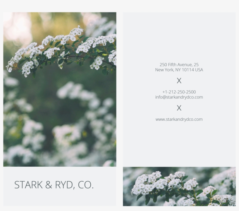 Business Card Template, transparent png download