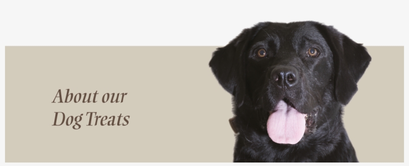 Dogs Love Charlee Bear Treats - Charlee Bear Bear Crunch Grain Free, transparent png download