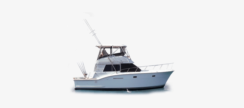 Mornin' Ride - Boat Ride Png, transparent png download