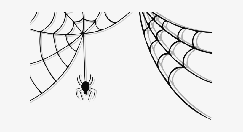 Cute Birds Picutre - Spider Web Png Transparent Background, transparent png download