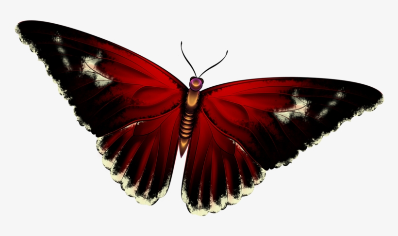 Cute - 3 Boyutlu Kelebek Resmi, transparent png download