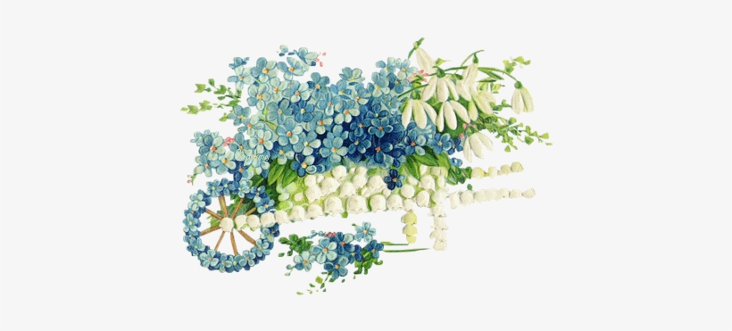 Flowers - Vintage - Maine Coon Cat Forget Me Not* Unset Cameo Porcelain, transparent png download