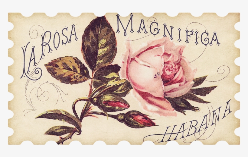 Children And Flowers - Pink Rose Antique Label Magnets, transparent png download