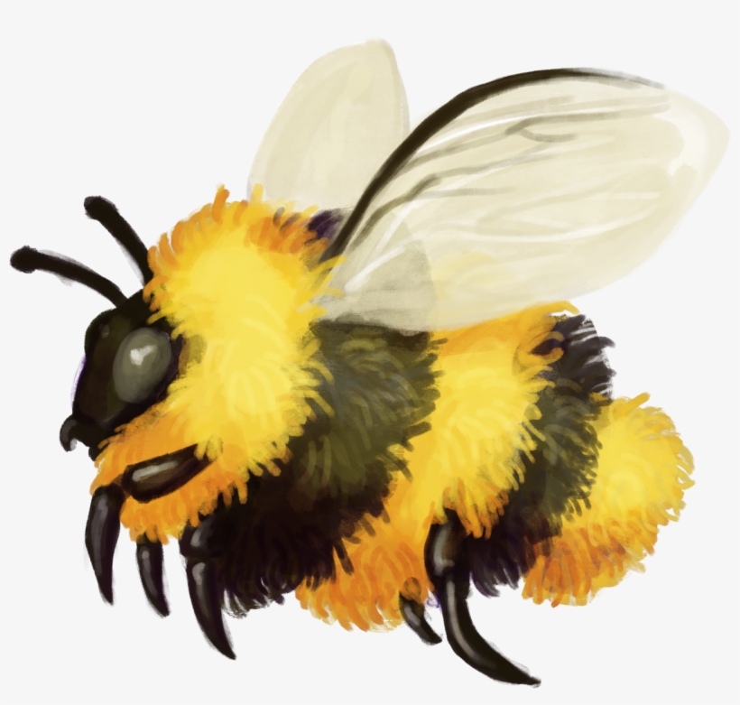 A Quick Fuzzy Bumblebee Friend - Bumblebee, transparent png download