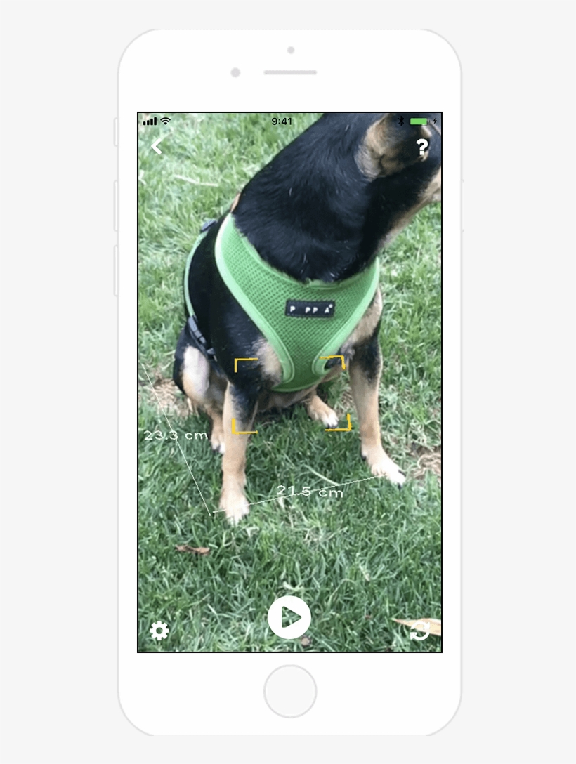 Mixed-reality Handyman Tools - Dog Catches Something, transparent png download