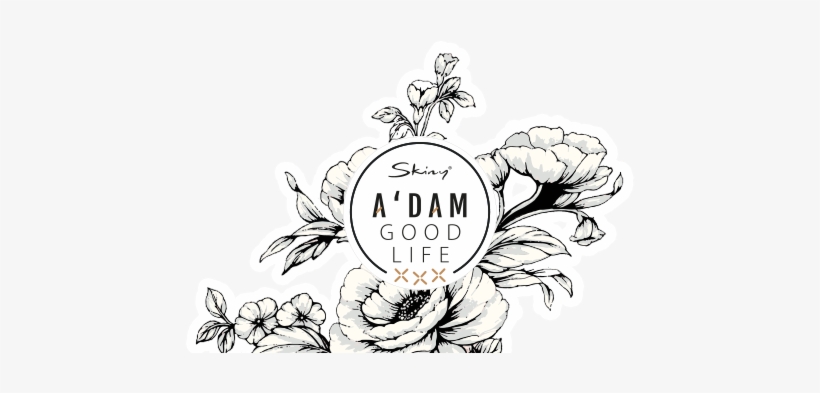 Adam-illstr - Illustration, transparent png download