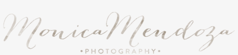 New Jersey And New York Wedding Photographer - New Jersey, transparent png download