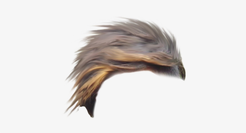 Cb Hair Png - Tan, transparent png download