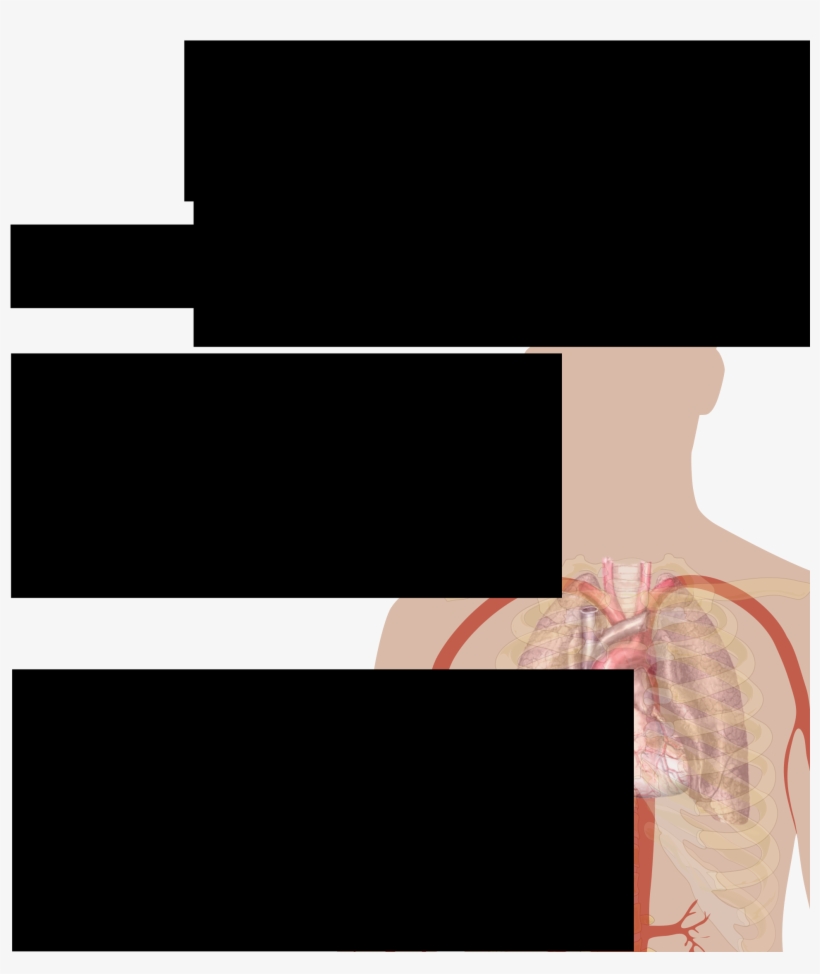 Open - Scalable Vector Graphics, transparent png download