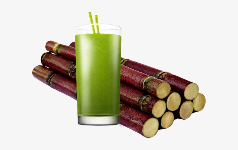Call Of Duty Modern Warfare Remastered Png - Edible Stems Sugar Cane, transparent png download