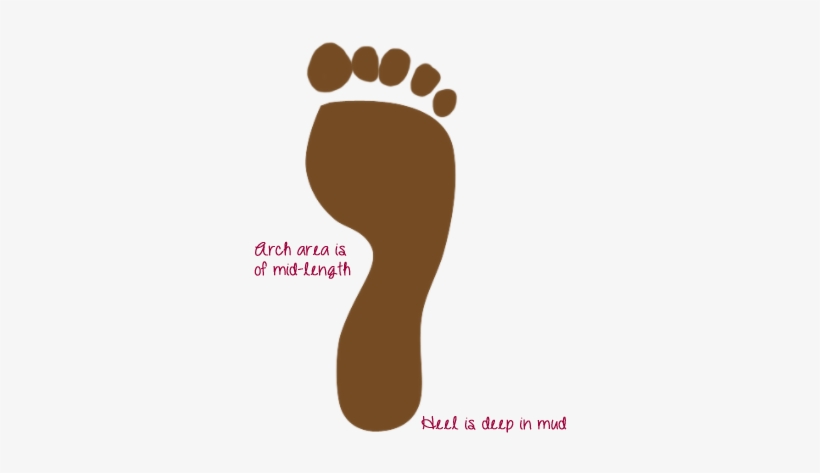 She Looked At It For A Minutes To Make Sure It Was - Footprint, transparent png download