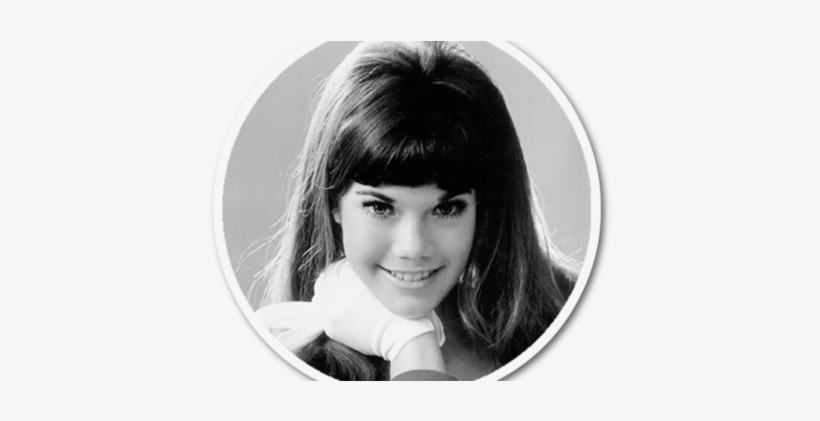 Barbi Benton, transparent png download