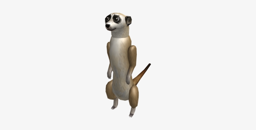 Meerkat Horde - Meerkat, transparent png download