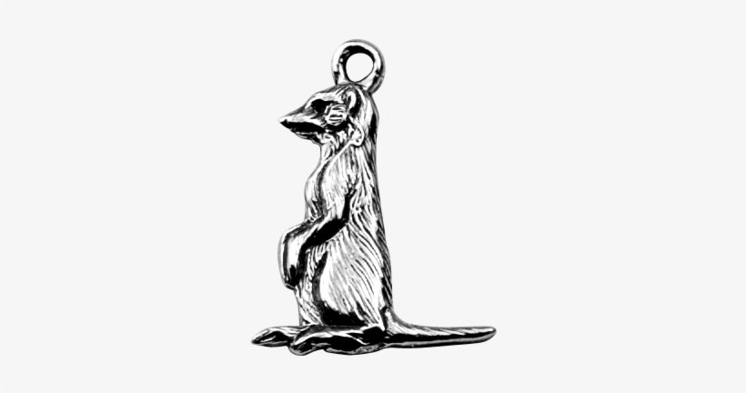 Meerkat - Kangaroo, transparent png download