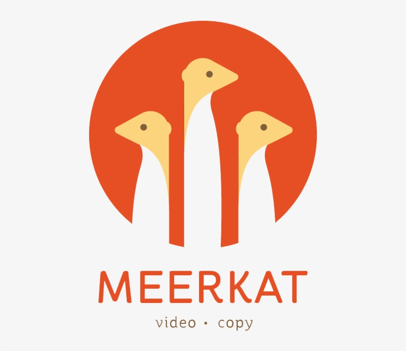 Need An Impactful Visual Identity Don't Worry, We're - Brown Pelican, transparent png download
