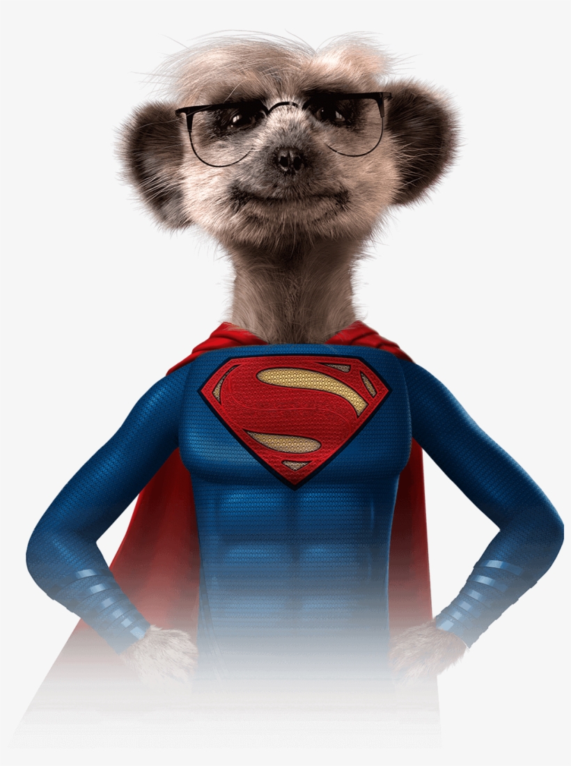 Pin By Annaleenvancoller Annaleenvancoller On Anni's - Meerkat Superhero, transparent png download