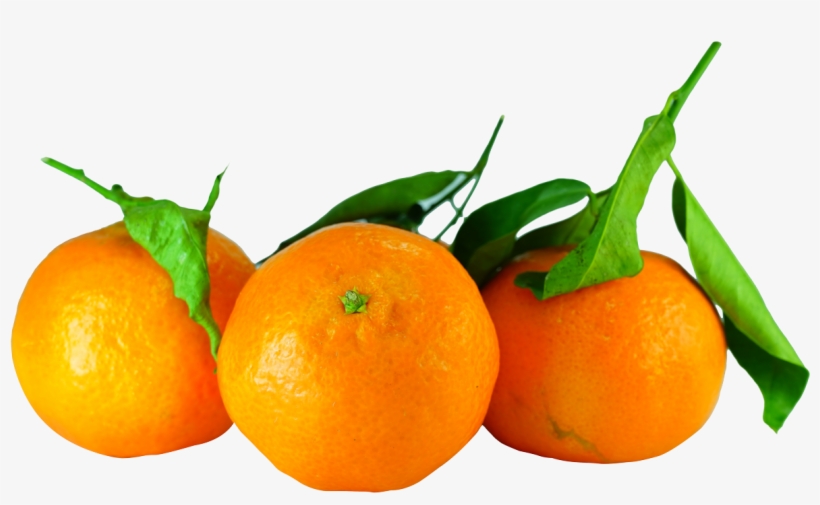 Tangerines With Leaves Png Image - Tangerines Png, transparent png download