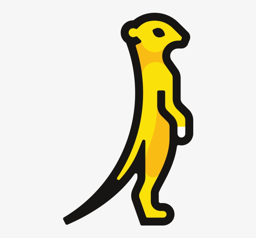 A Quick Study Guide For The Coa Exam, transparent png download