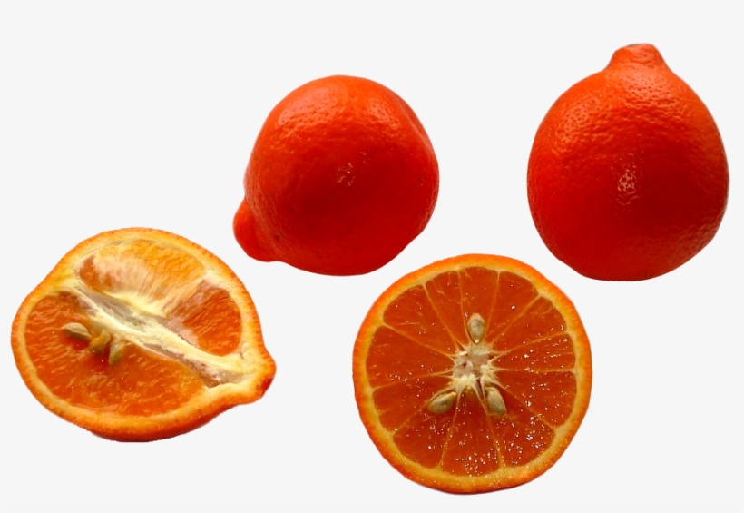 Minneola Tangerines Png Image - Tangelo, transparent png download